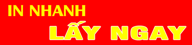 in nhanh Phường Phú Nhuận giá cực thấp