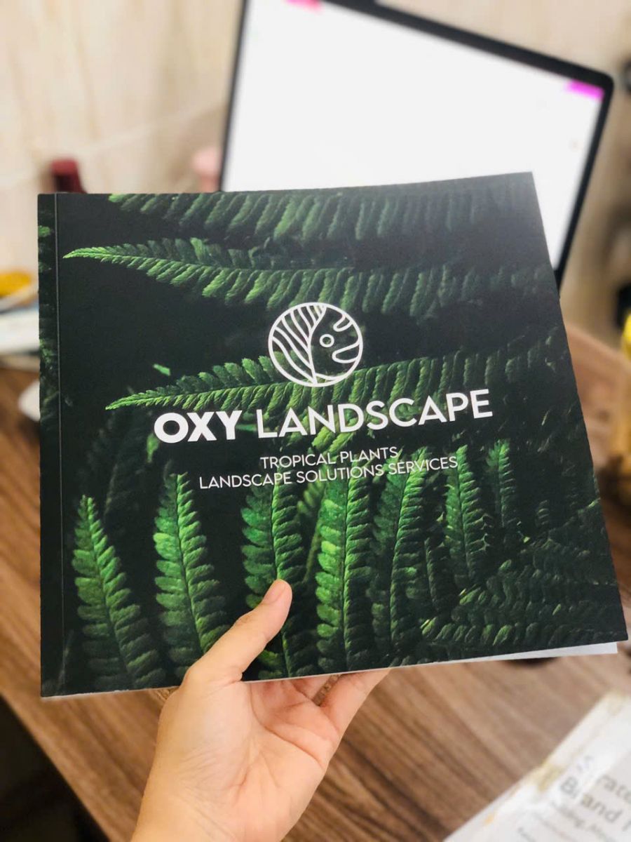 in nhanh catalog oxyland